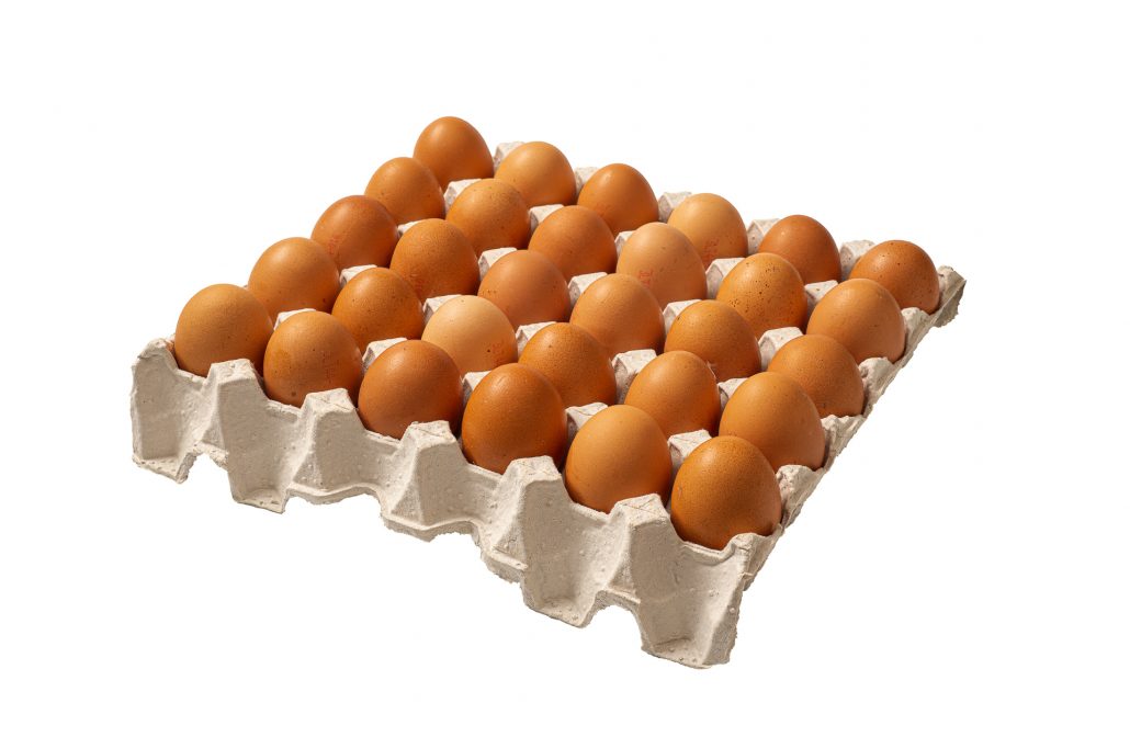 Padėkliukai Unix